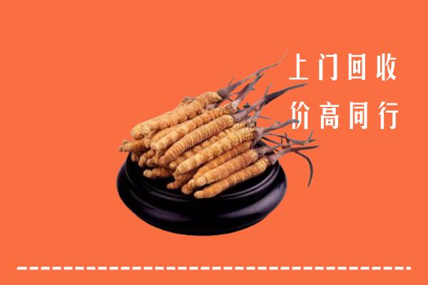 高价求购：阿克苏乌什县回收散虫草