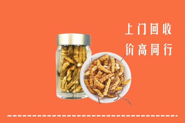 阿克苏乌什县回收冬虫夏草