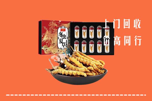 阿克苏乌什县回收虫草